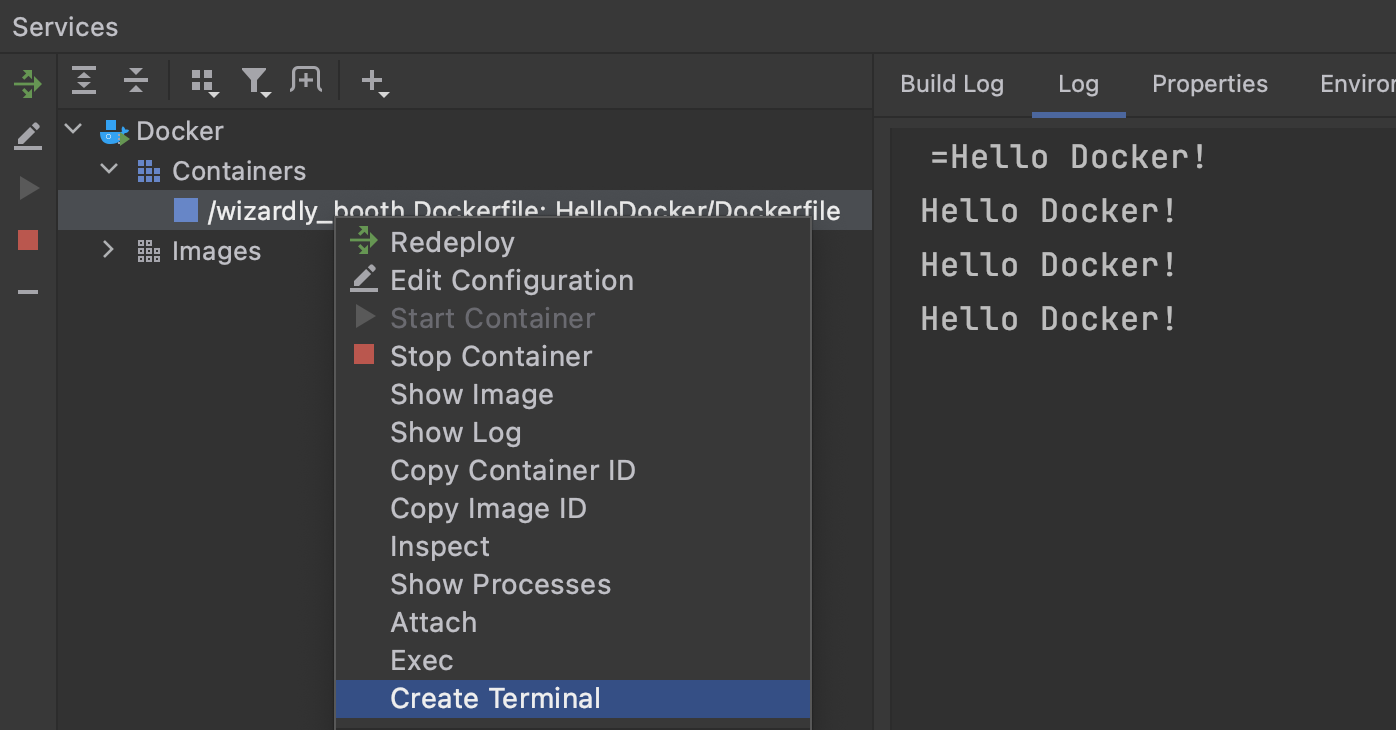 Create terminal and attach to container