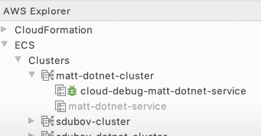 Debug Service